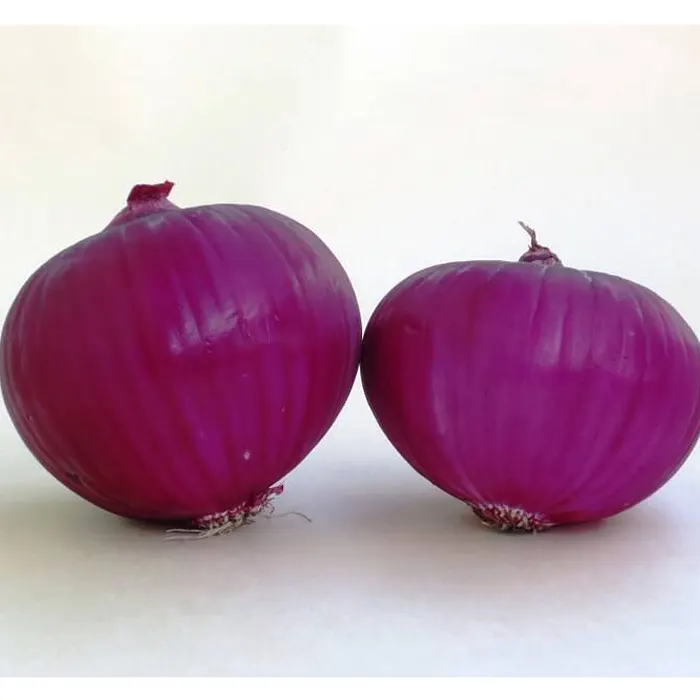 onion2